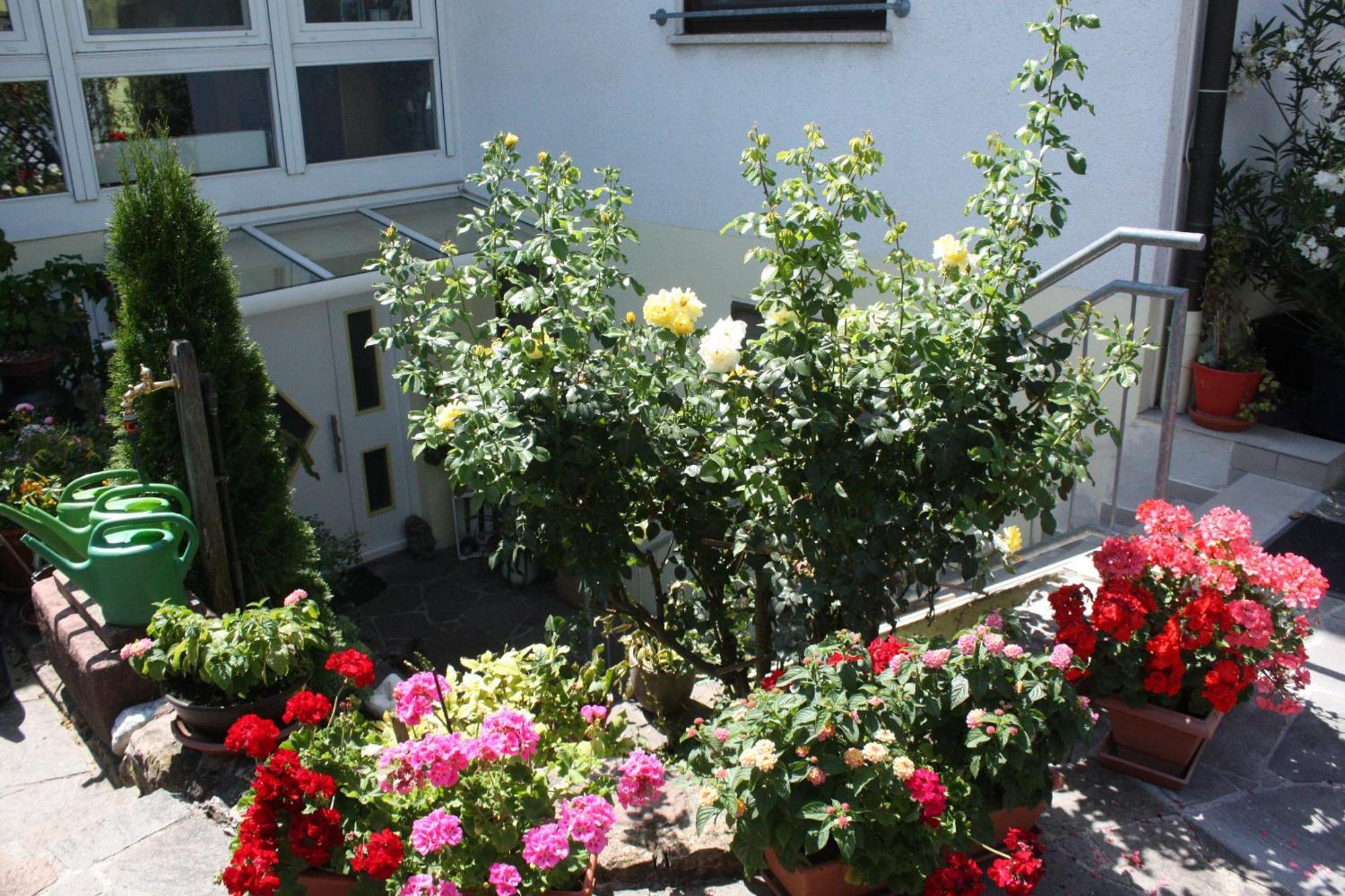 Ferienwohnung Burger Sasbach am Kaiserstuhl Exterior photo